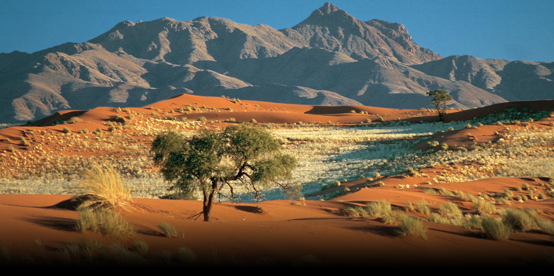 ناميبيا مغامرة جريئة داخل الأرض المحرمة للاستمتاع بالسحر الأفريقي