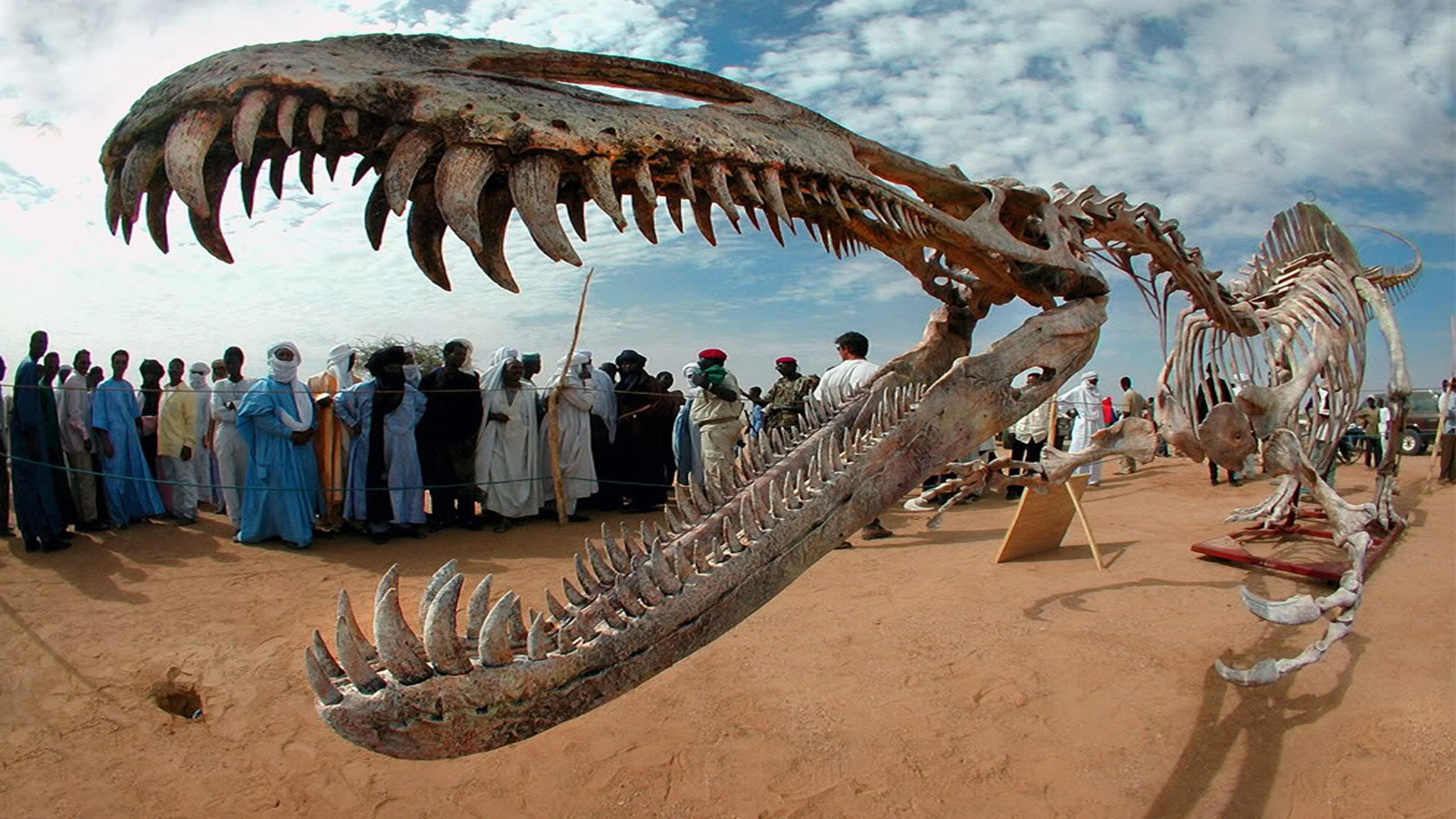 أشياء غريبة وجدها المستكشفون مصادفة حول العالم