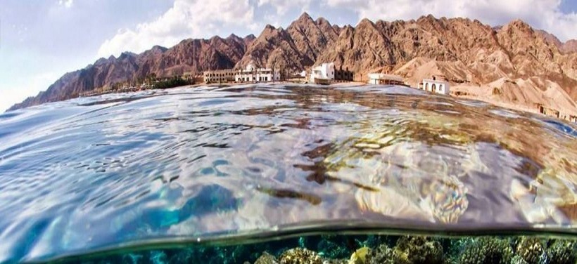 حديقة الثعابين في دهب