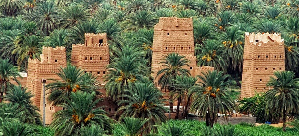 فنادق نجران العريسه