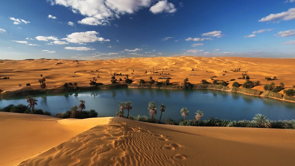 أفضل 5 فنادق في سيوة
