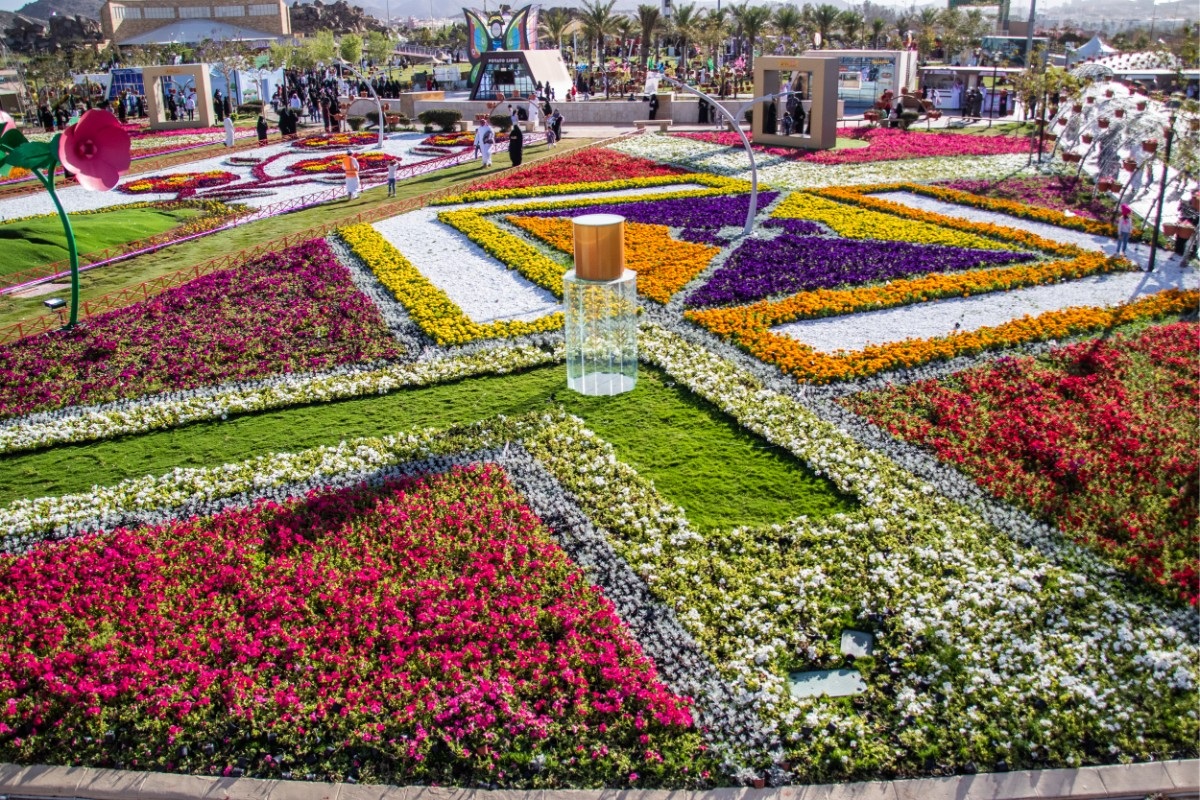 شقق مفروشة في الطائف