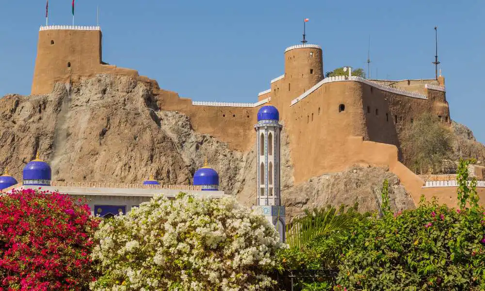 صورة الرحلة