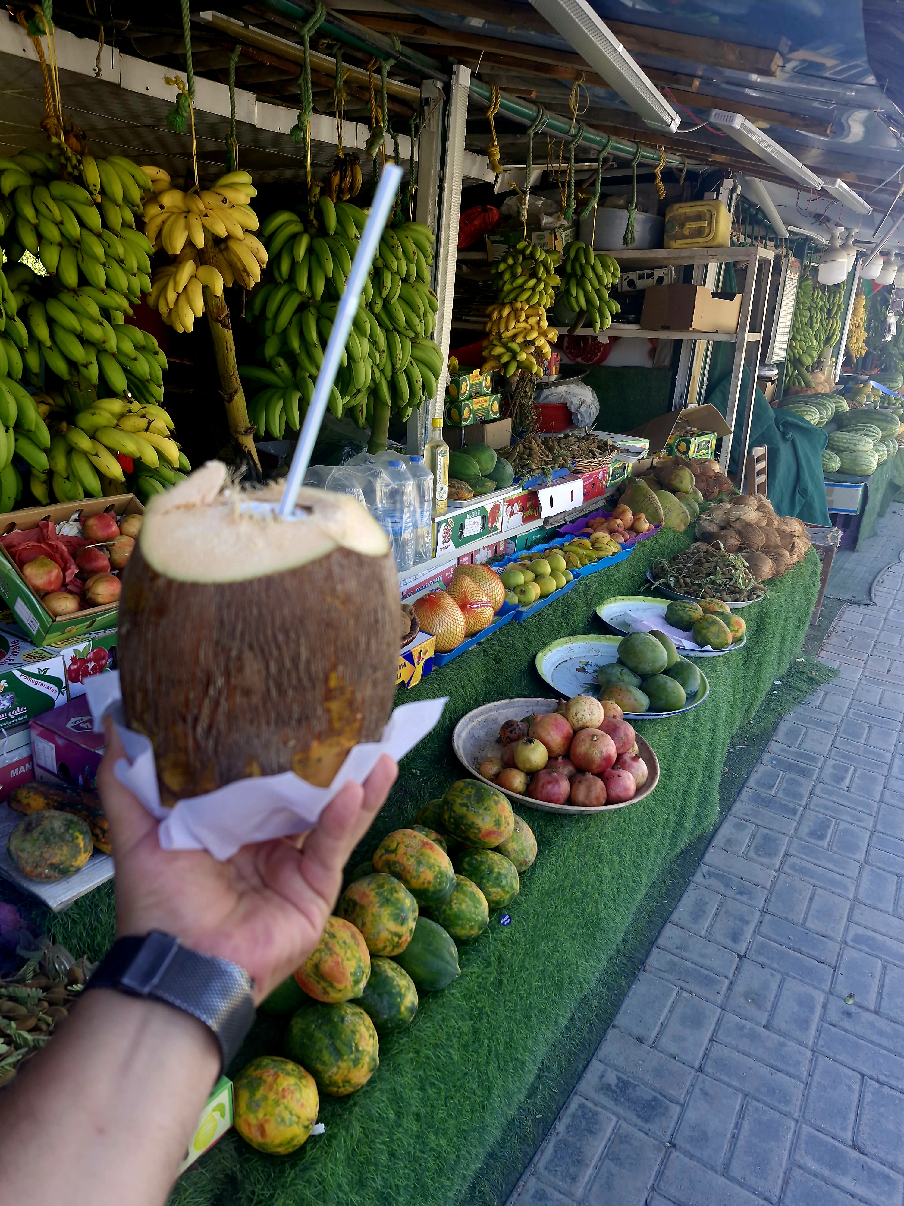 صورة الرحلة