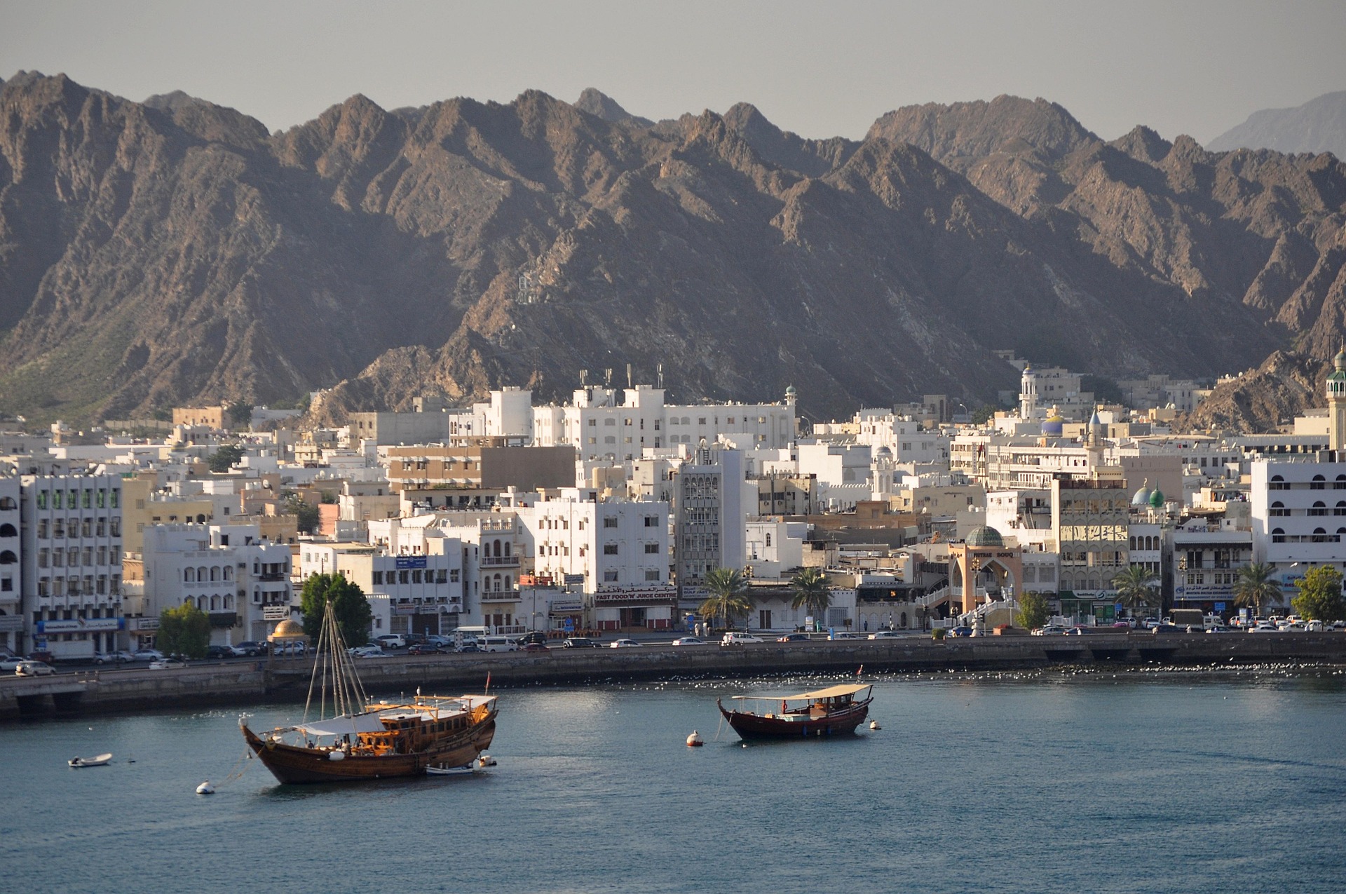 صورة الرحلة