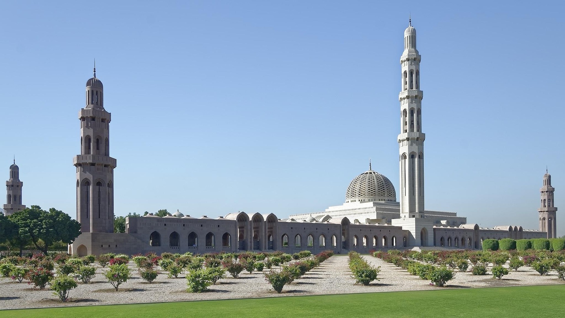 صورة الرحلة