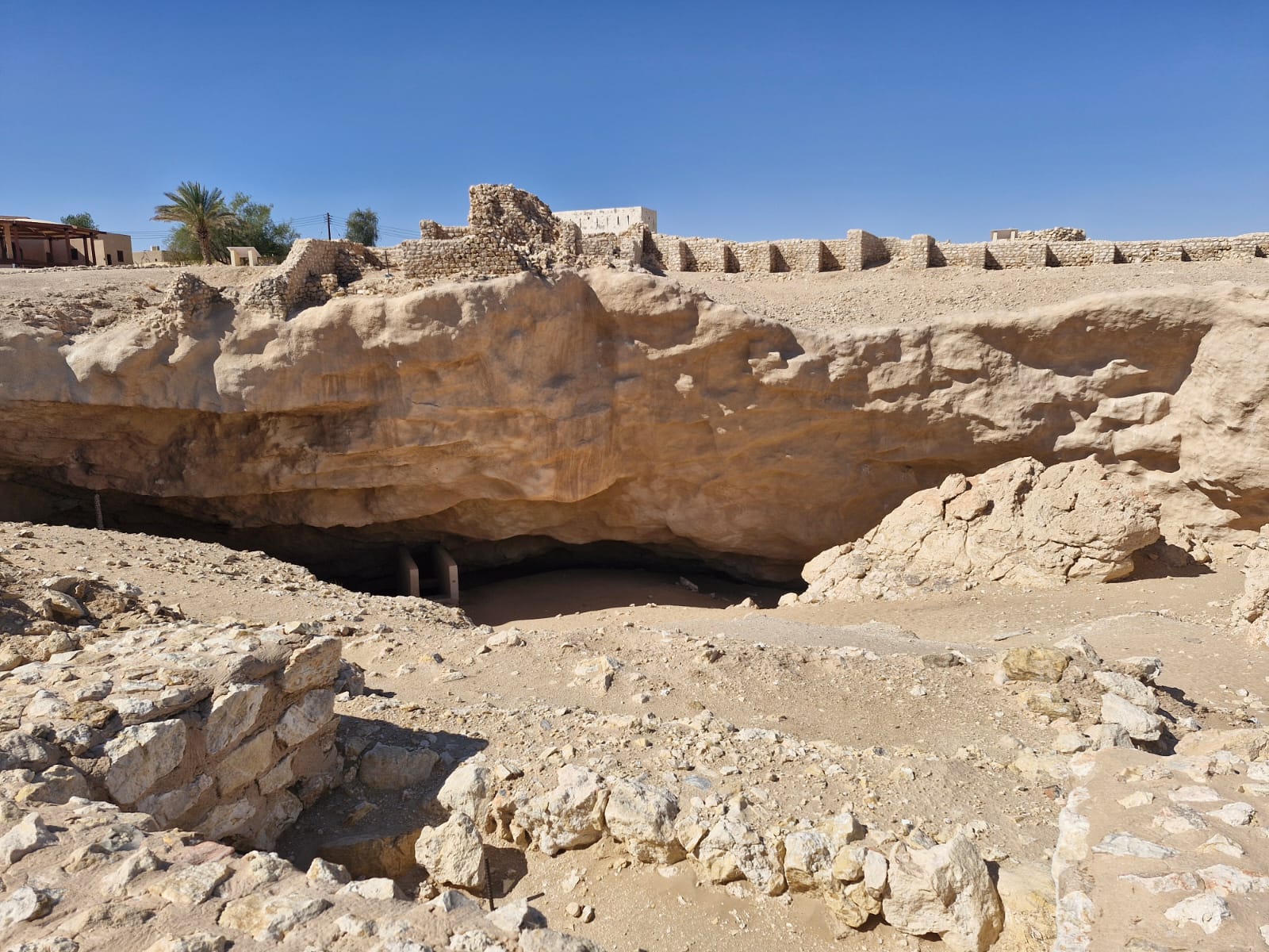 صورة الرحلة