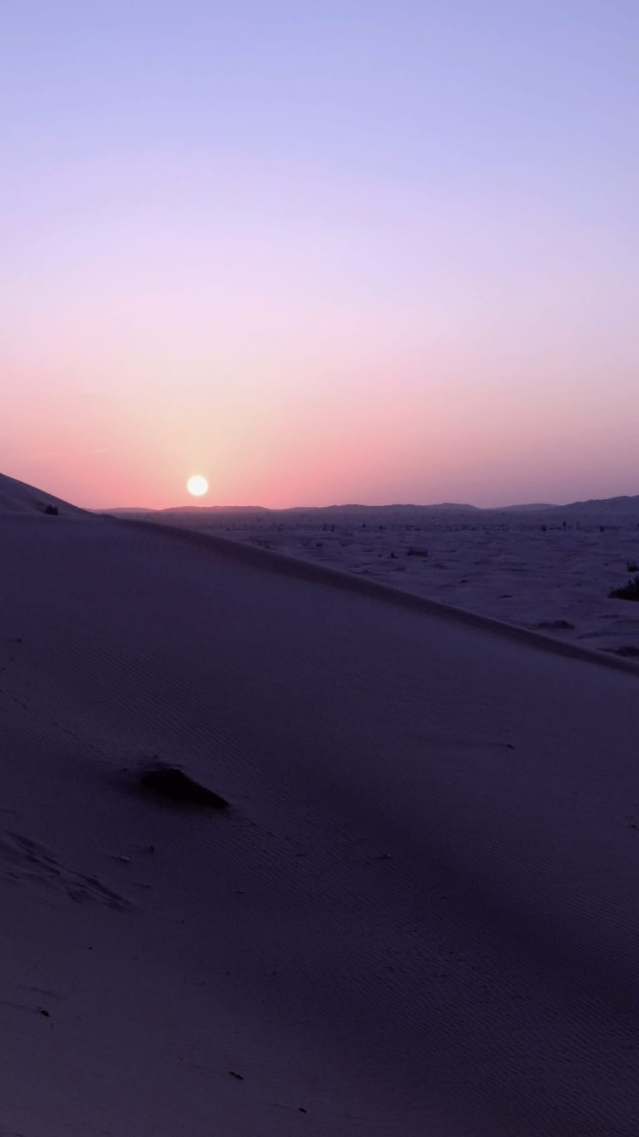 صورة الرحلة