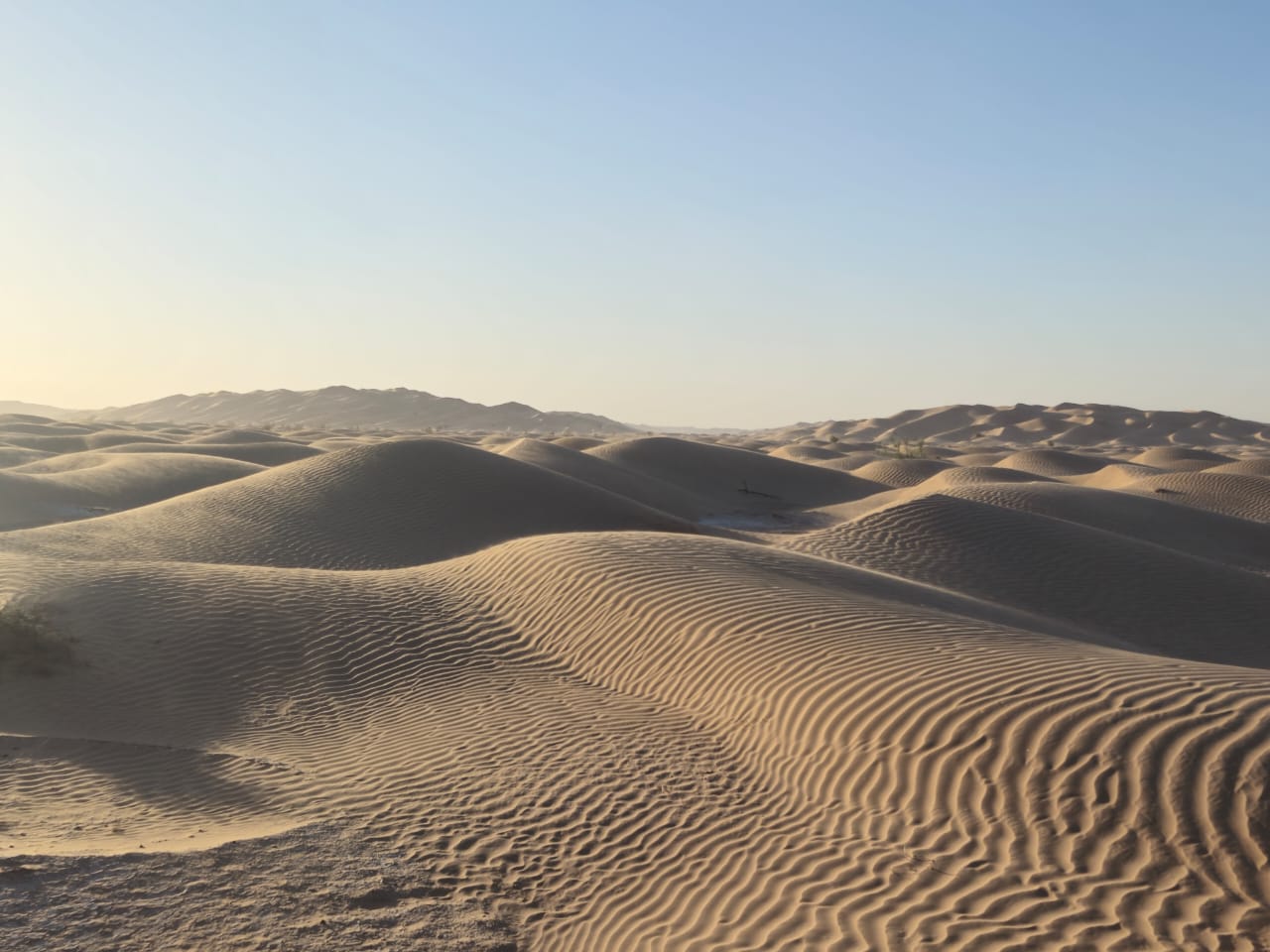 صورة الرحلة