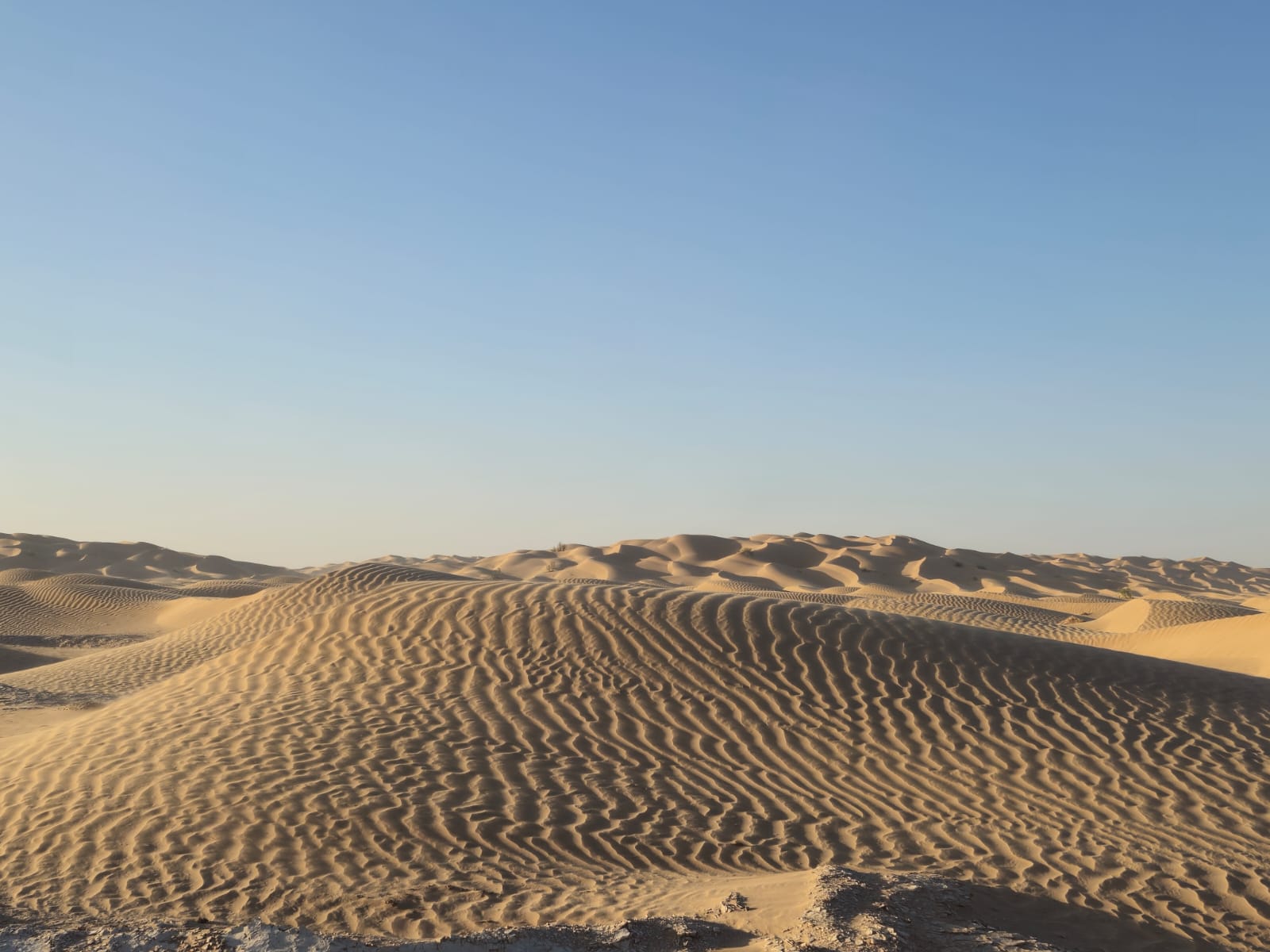 صورة الرحلة