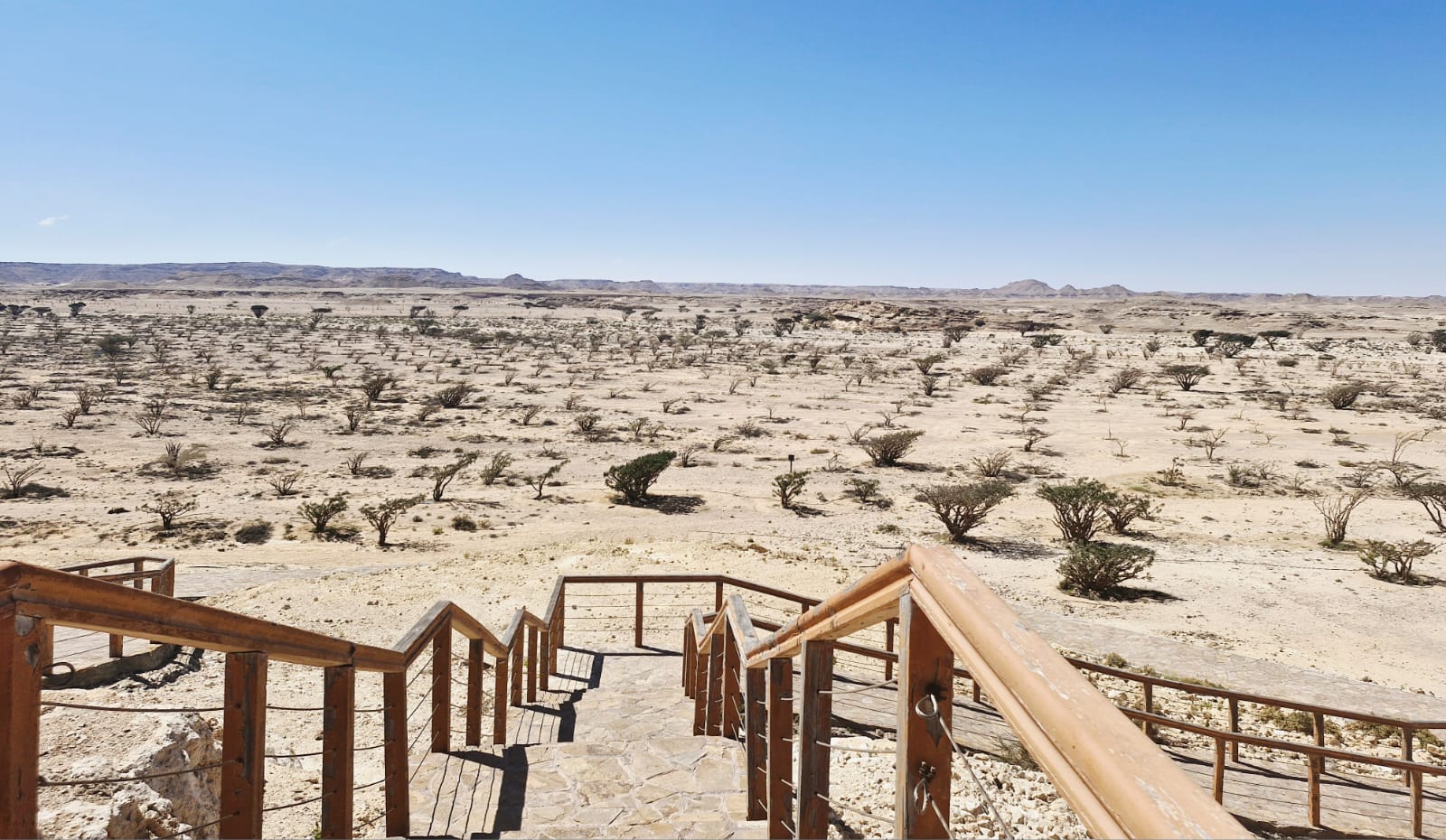 صورة الرحلة