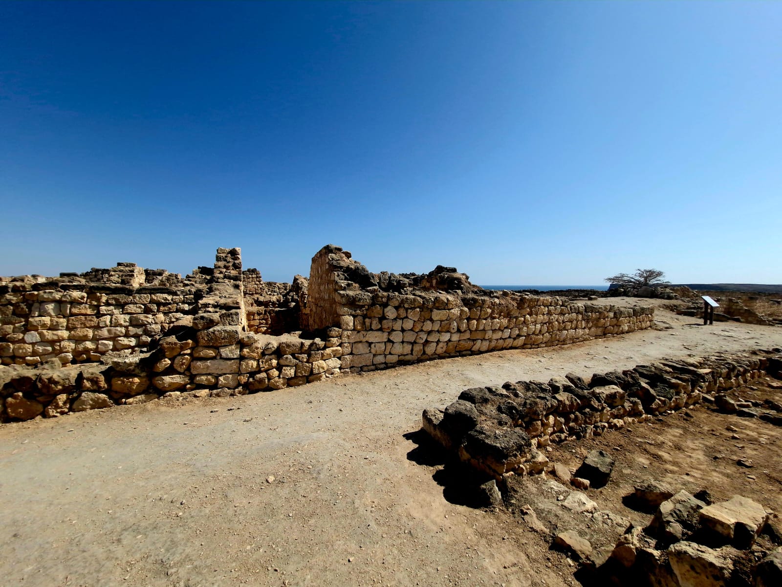 صورة الرحلة