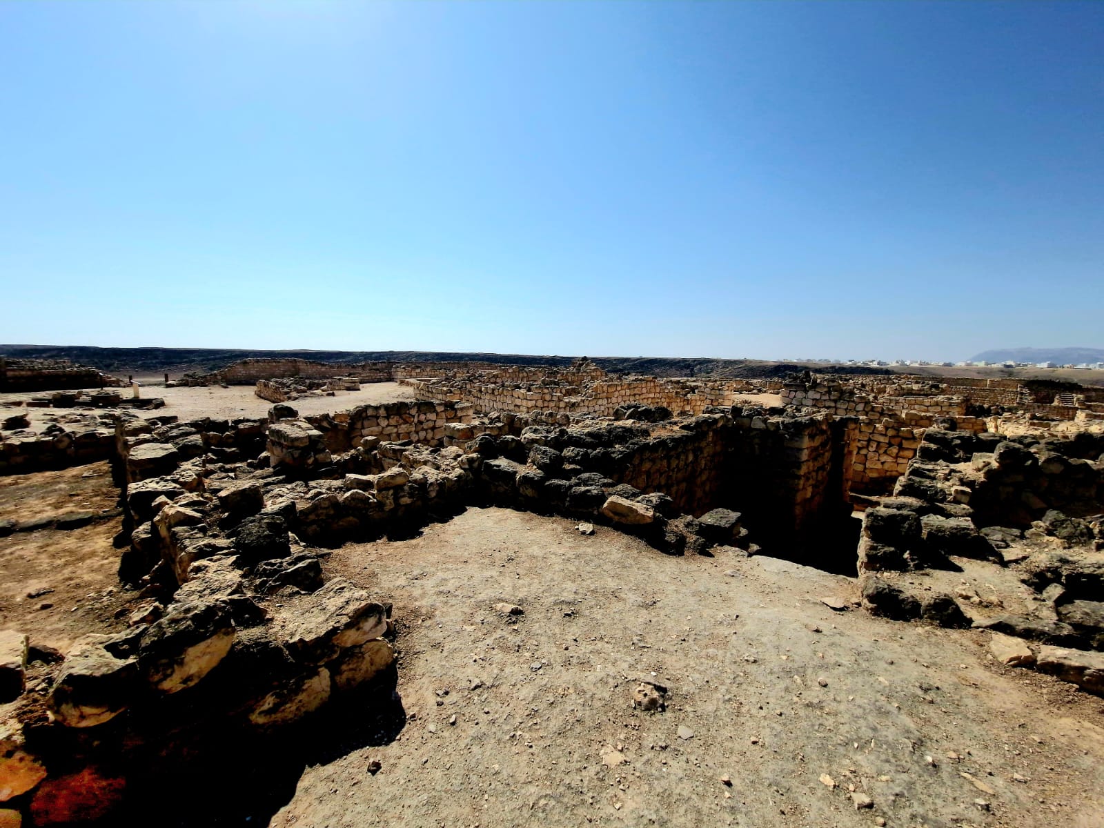 صورة الرحلة