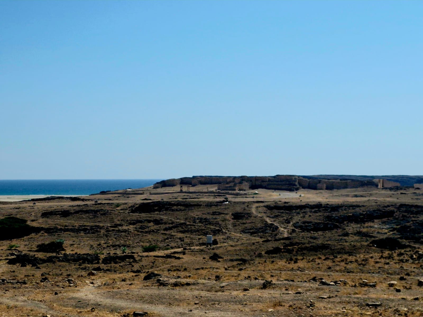 صورة الرحلة