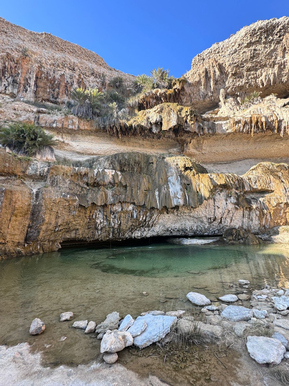 صورة الرحلة