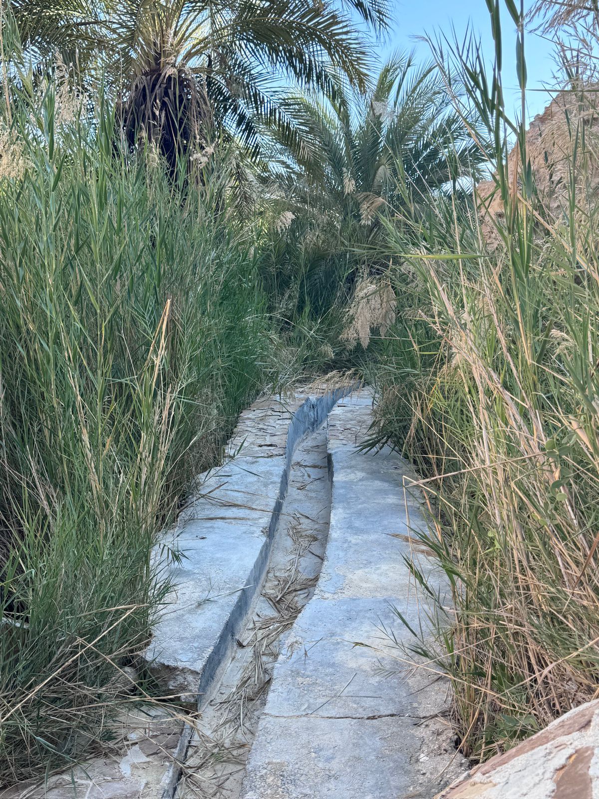 صورة الرحلة