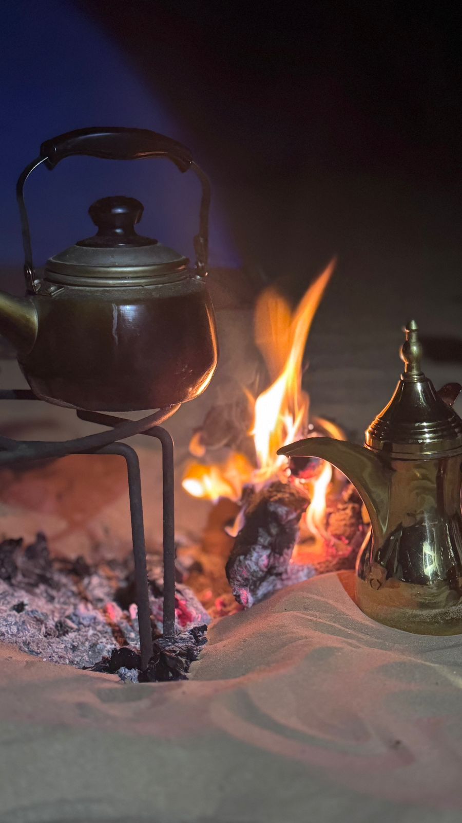 صورة الرحلة