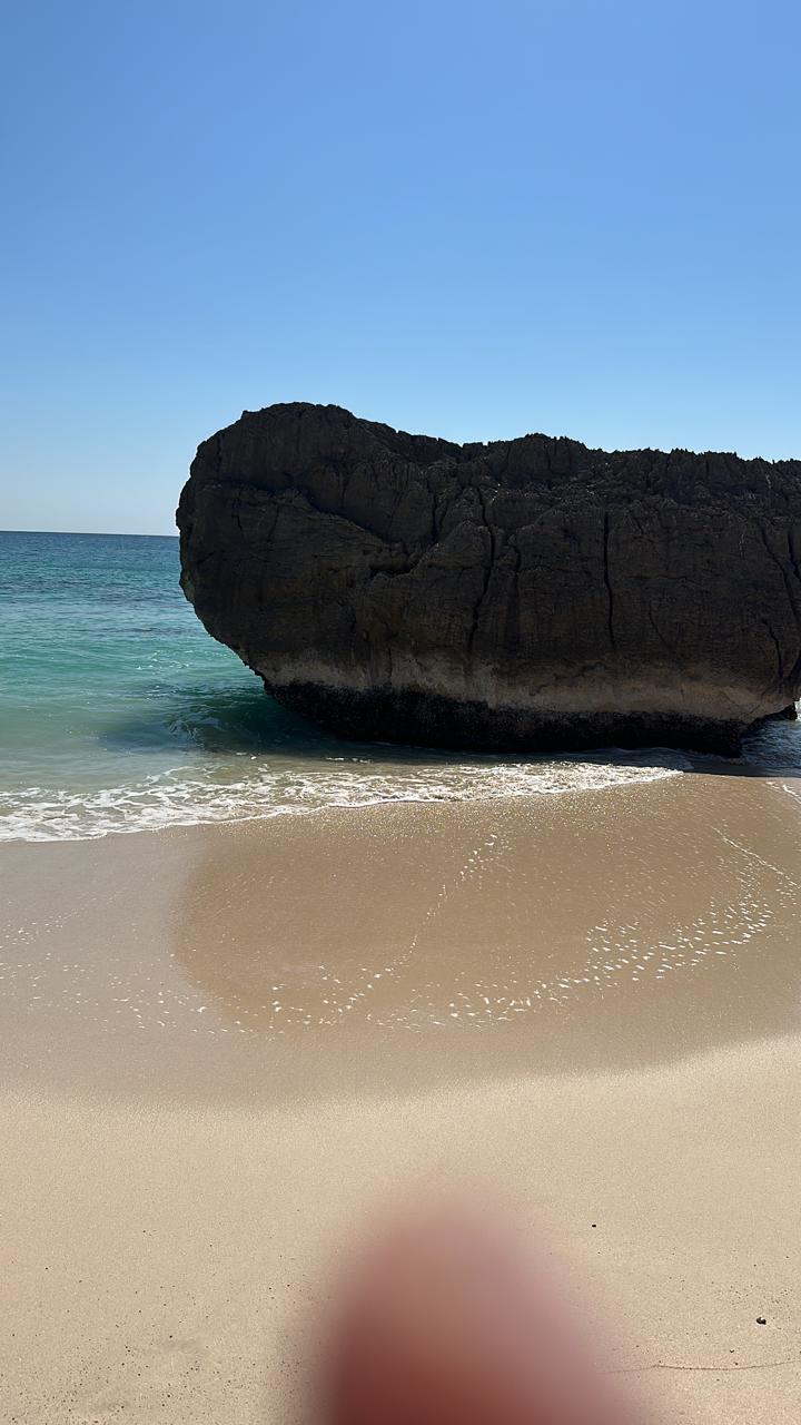 صورة الرحلة