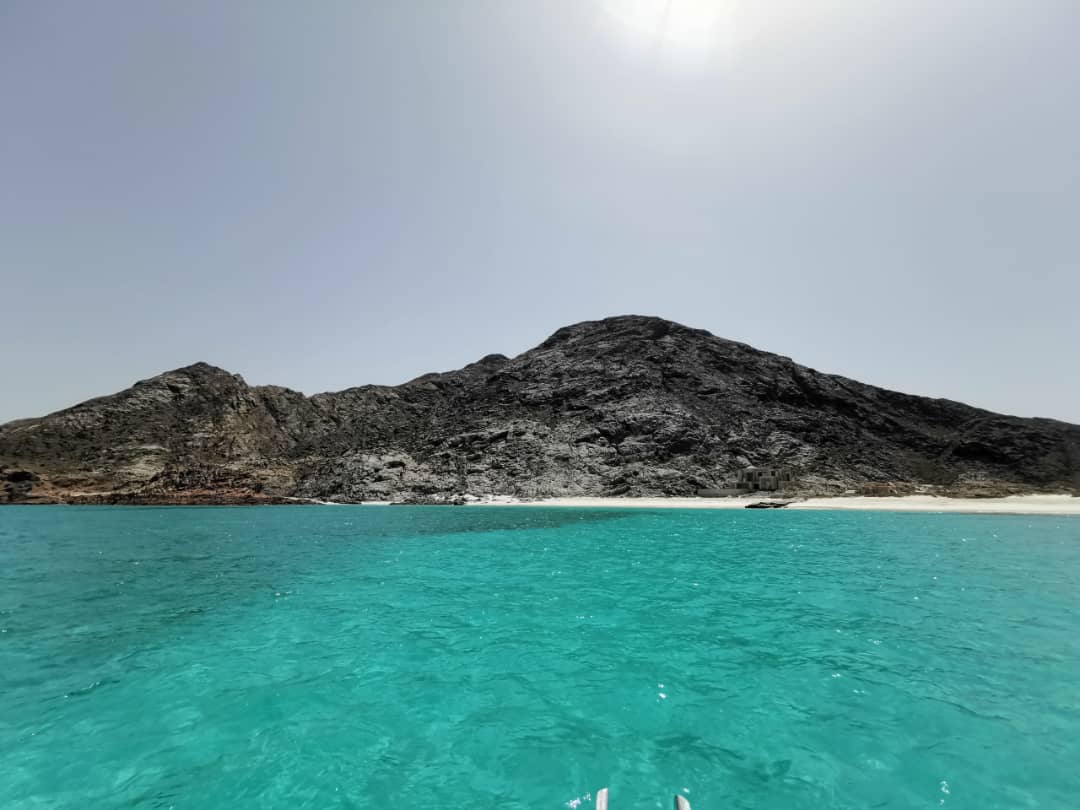 صورة الرحلة