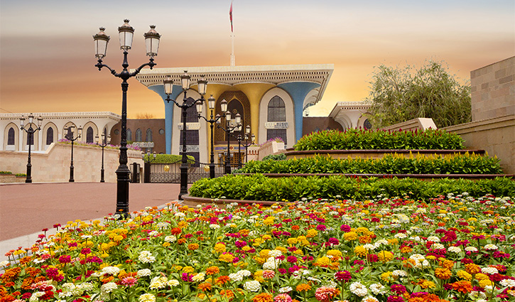 صورة الرحلة