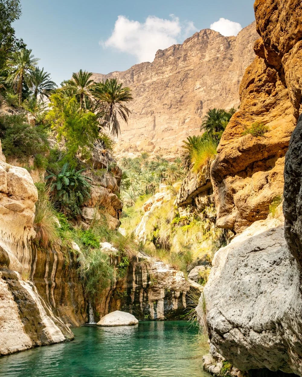 صورة الرحلة