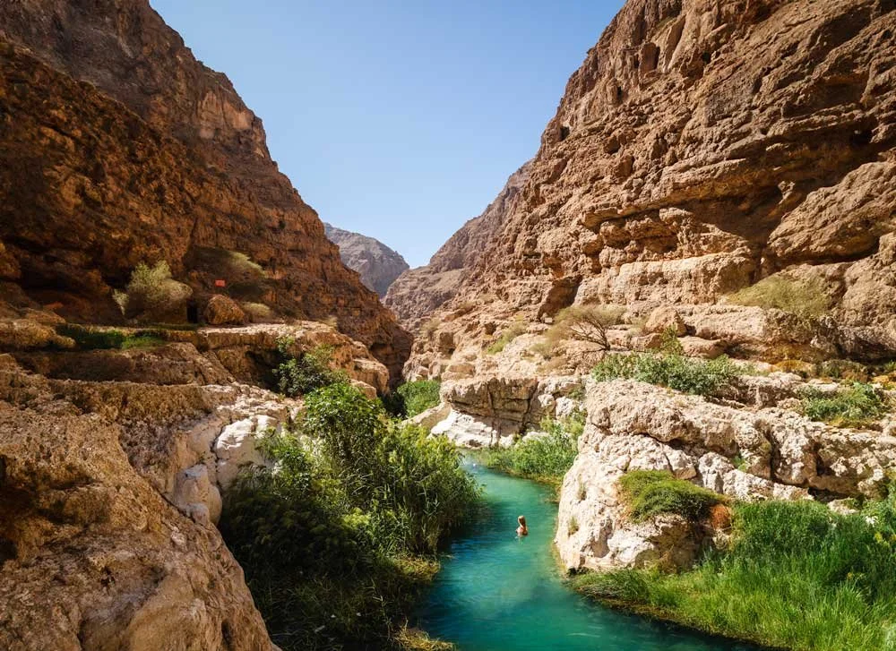 صورة الرحلة