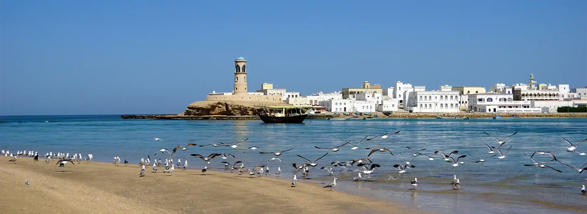 صورة الرحلة
