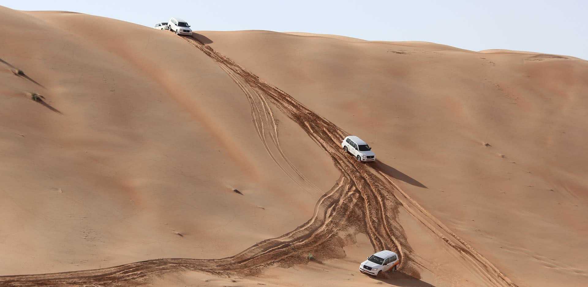 صورة الرحلة