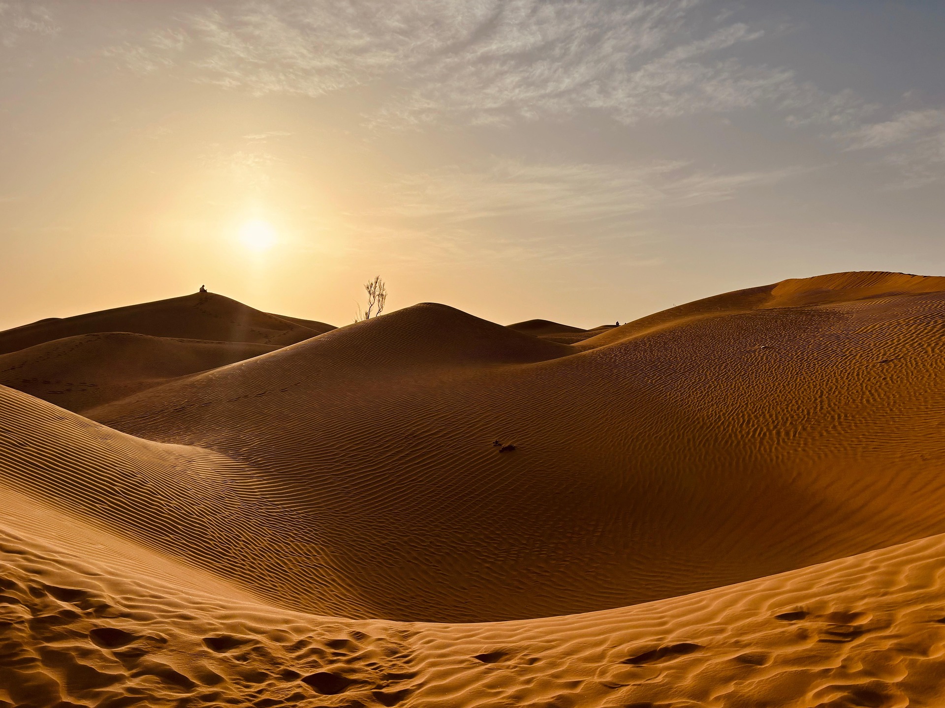 صورة الرحلة