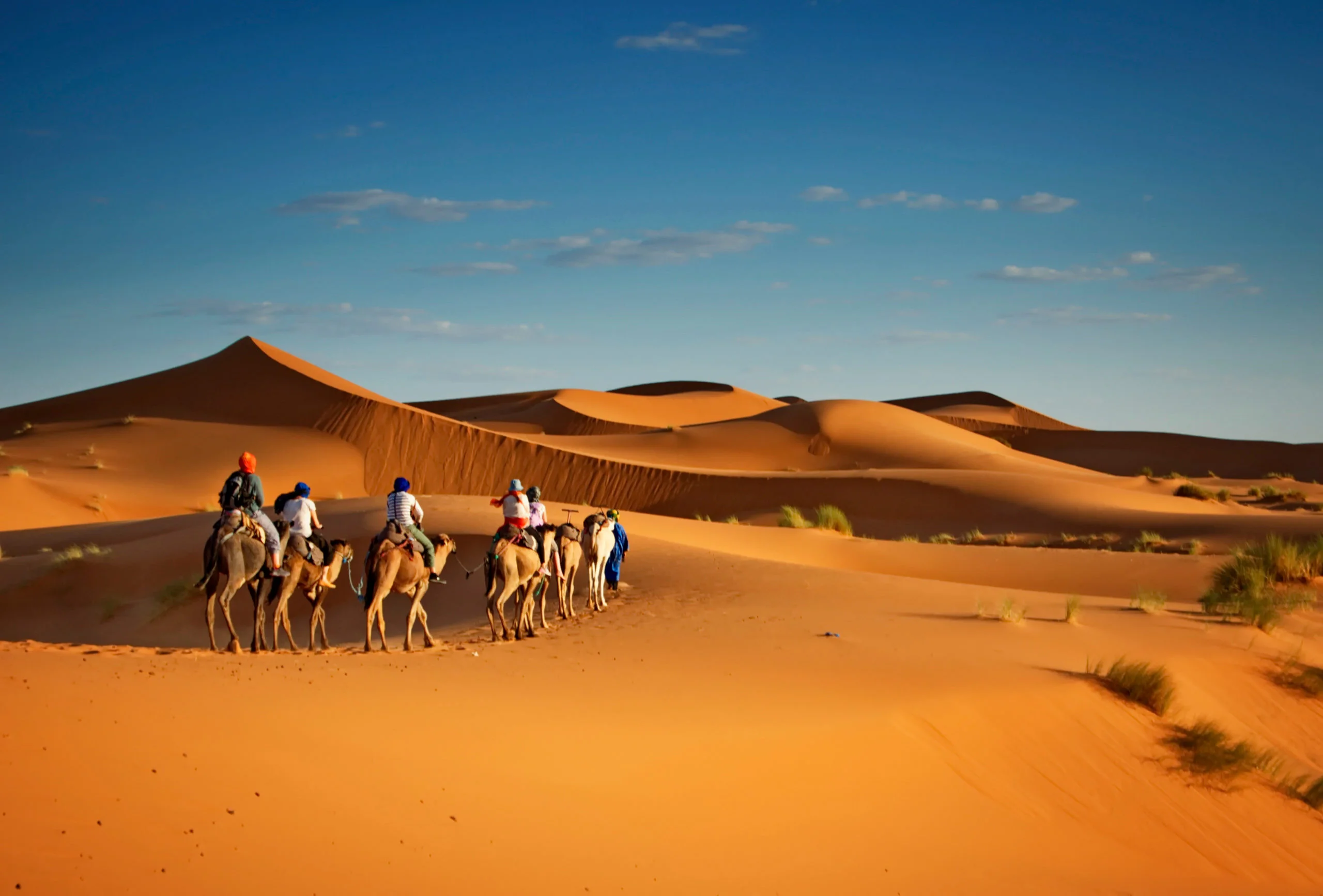 صورة الرحلة