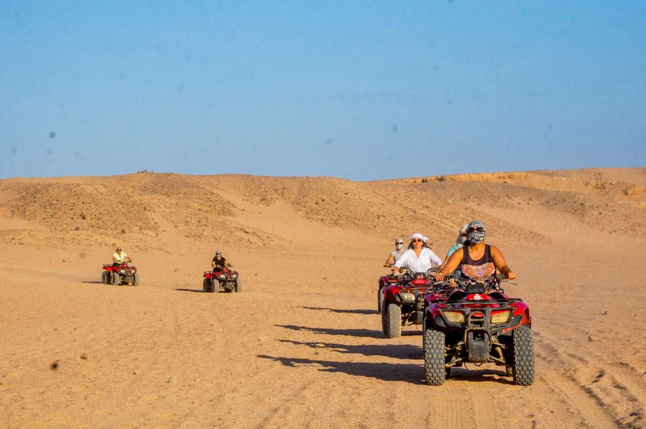 صورة الرحلة