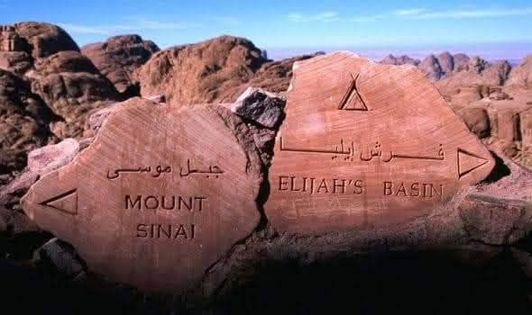 صورة الرحلة