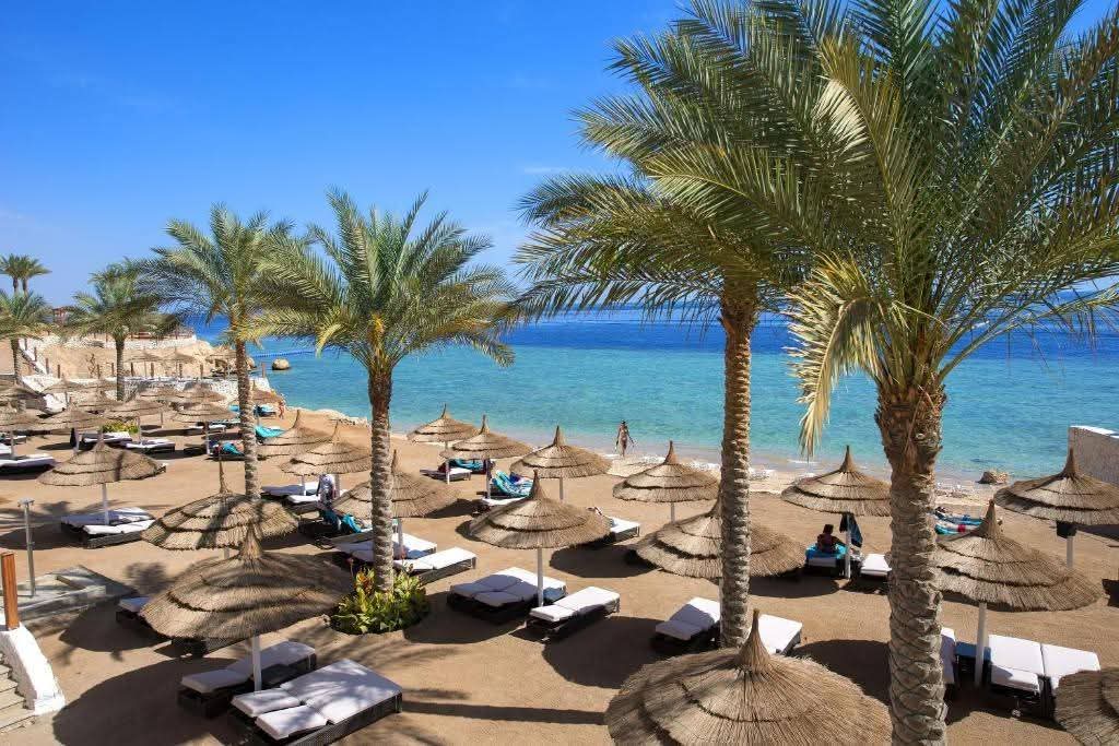 صورة الرحلة