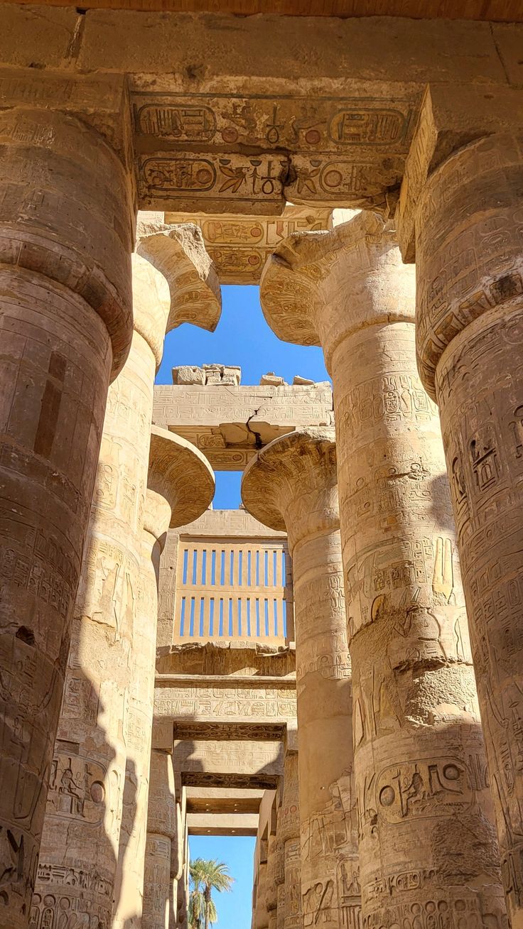 صورة الرحلة