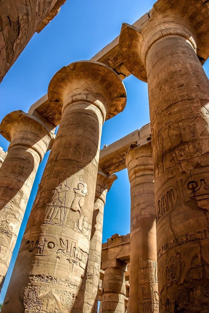 صورة الرحلة