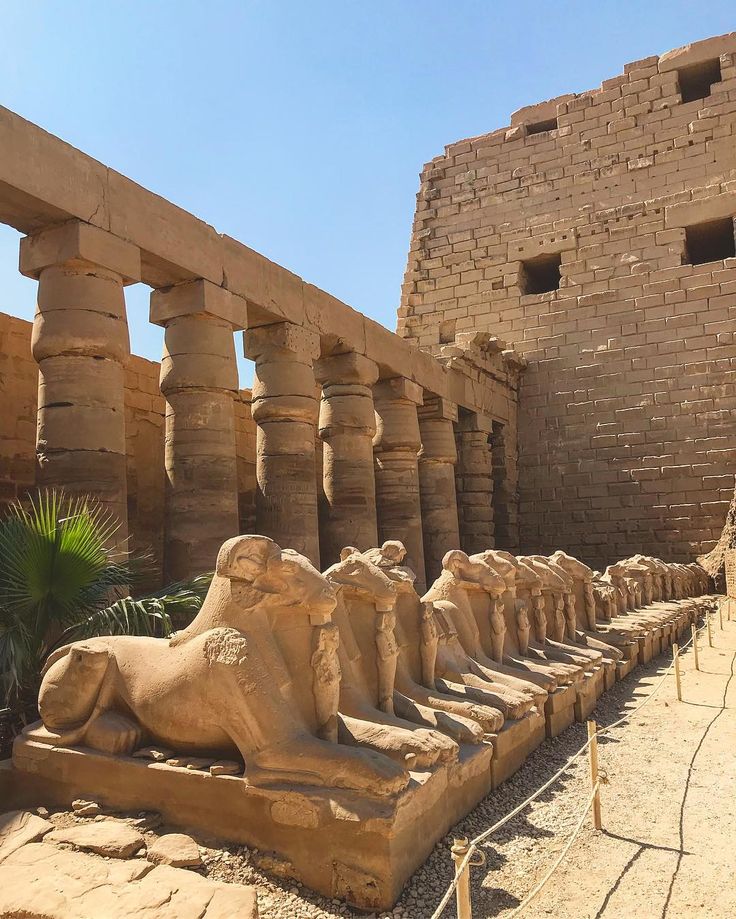 صورة الرحلة
