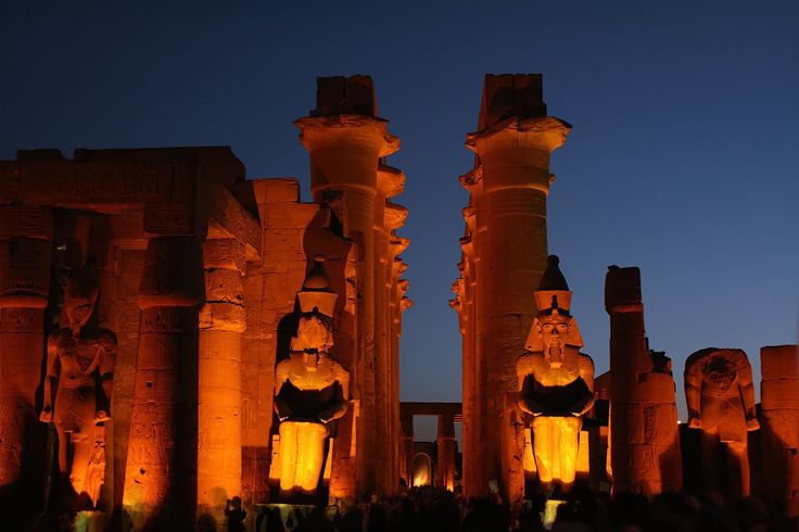 صورة الرحلة