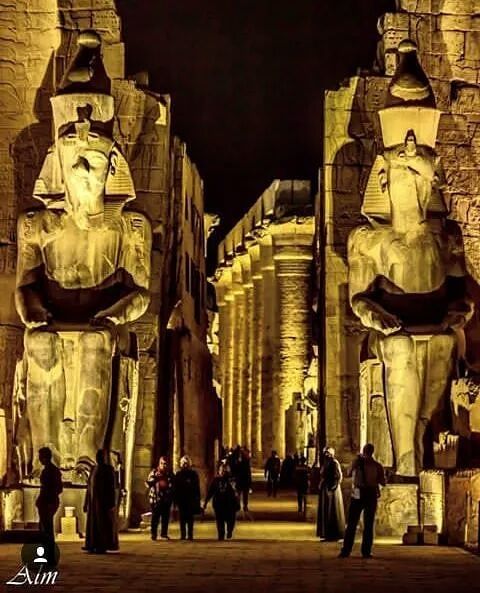 صورة الرحلة