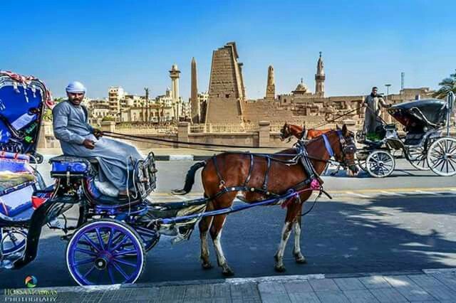 صورة الرحلة