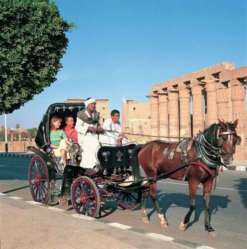 صورة الرحلة