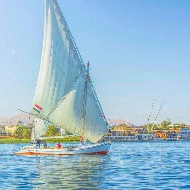 صورة الرحلة