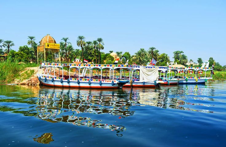 صورة الرحلة