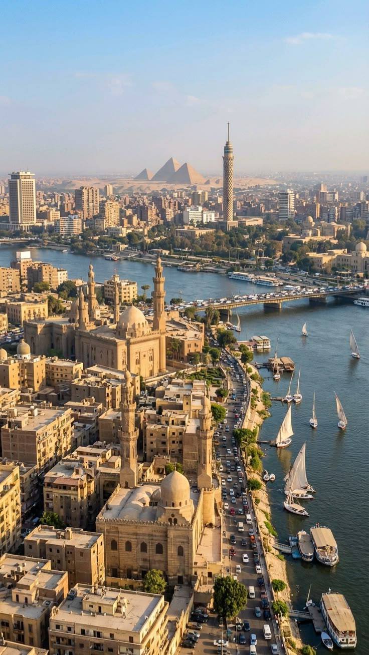 صورة الرحلة