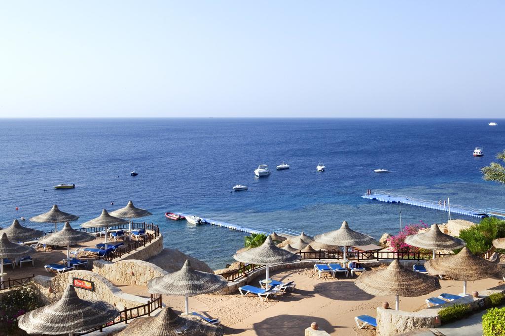 صورة الرحلة