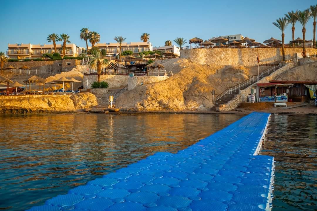 صورة الرحلة