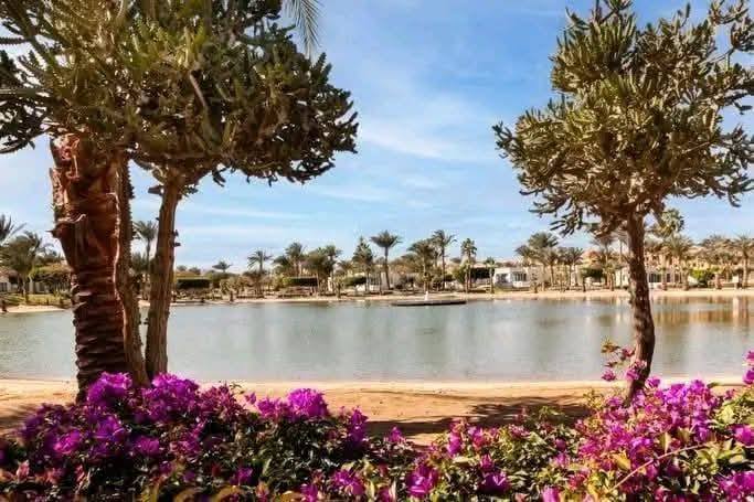 صورة الرحلة